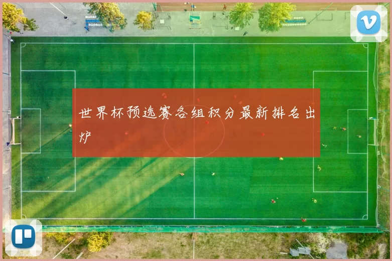 世界杯预选赛各组积分最新排名出炉