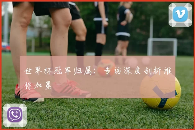 世界杯冠军归属:专访深度剖析谁将加冕