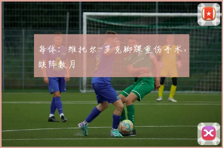 每体:维托尔-罗克脚踝重伤手术,缺阵数月