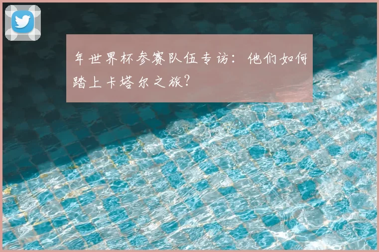 年世界杯参赛队伍专访：他们如何踏上卡塔尔之旅？
