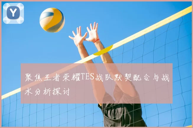 聚焦王者荣耀TES战队默契配合与战术分析探讨