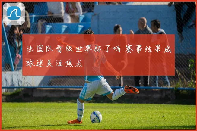 法国队晋级世界杯了吗 赛事结果成球迷关注焦点
