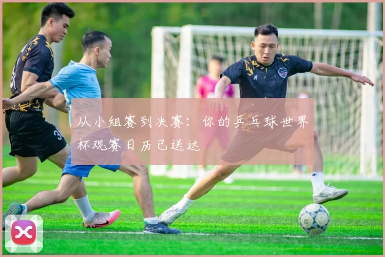 从小组赛到决赛：你的乒乓球世界杯观赛日历已送达
