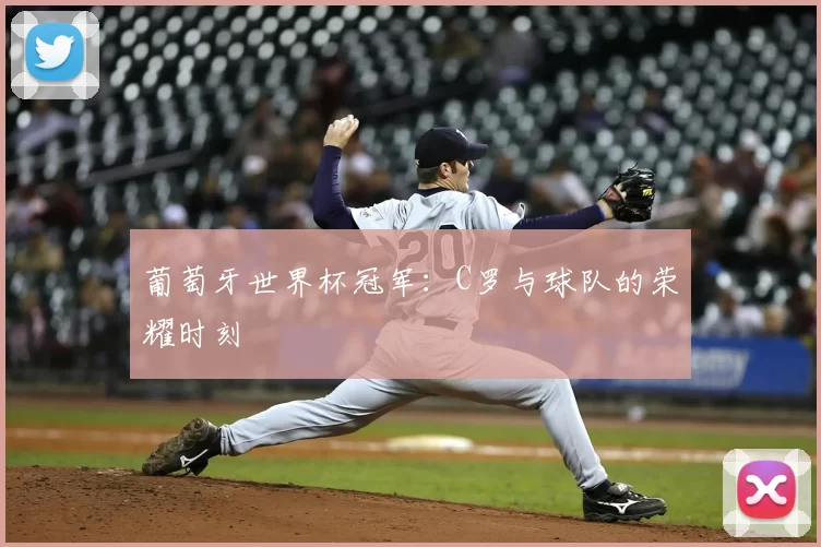 葡萄牙世界杯冠军:C罗与球队的荣耀时刻