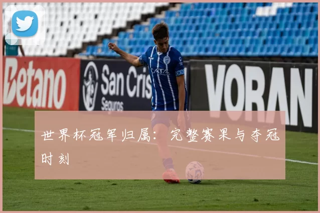 世界杯冠军归属:完整赛果与夺冠时刻