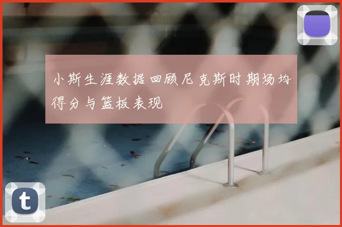 小斯生涯数据回顾尼克斯时期场均得分与篮板表现