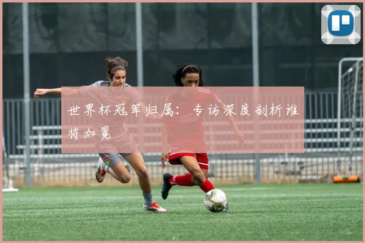 世界杯冠军归属:专访深度剖析谁将加冕