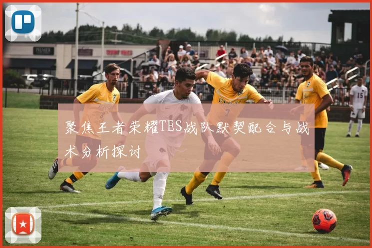 聚焦王者荣耀TES战队默契配合与战术分析探讨